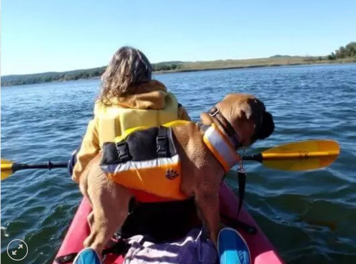 MTI Underdog Dog Life Jacket